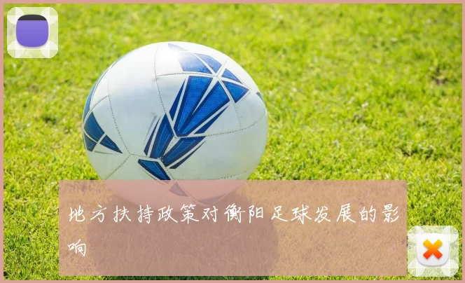 地方扶持政策对衡阳足球发展的影响